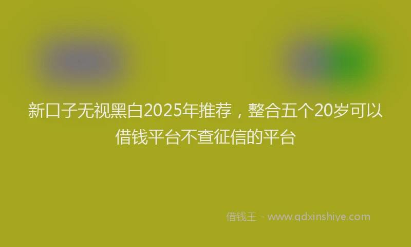 新口子无视黑白2025年推荐，整合五个20岁可以借钱平台不查征信的平台