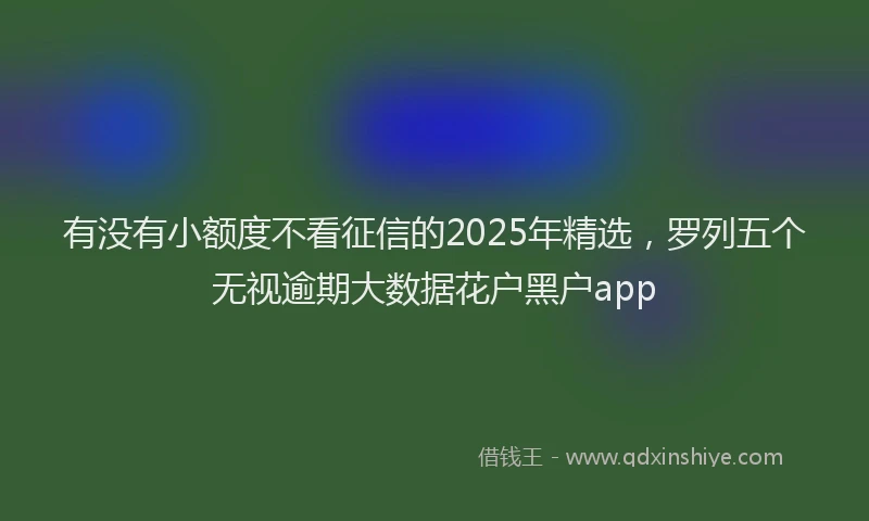 有没有小额度不看征信的2025年精选，罗列五个无视逾期大数据花户黑户app