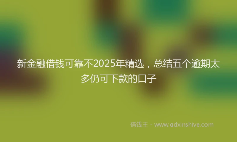 新金融借钱可靠不2025年精选，总结五个逾期太多仍可下款的口子