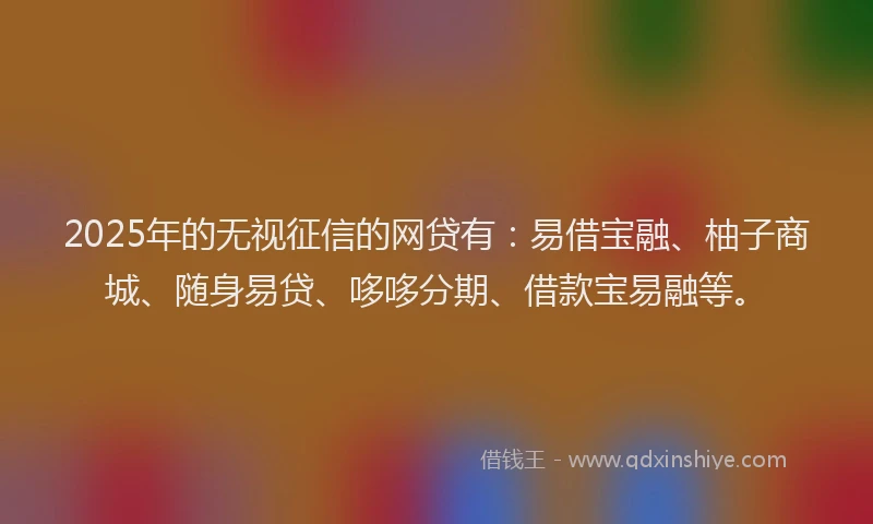 2025年的无视征信的网贷有：易借宝融、柚子商城、随身易贷、哆哆分期、借款宝易融等。