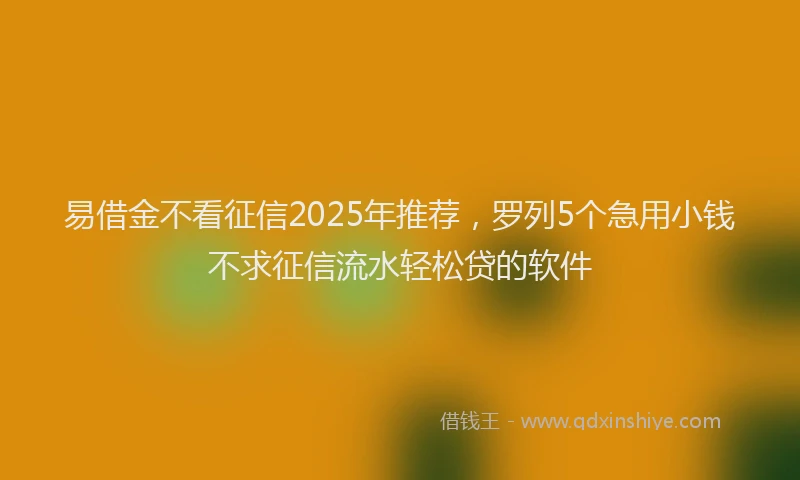 易借金不看征信2025年推荐，罗列5个急用小钱不求征信流水轻松贷的软件