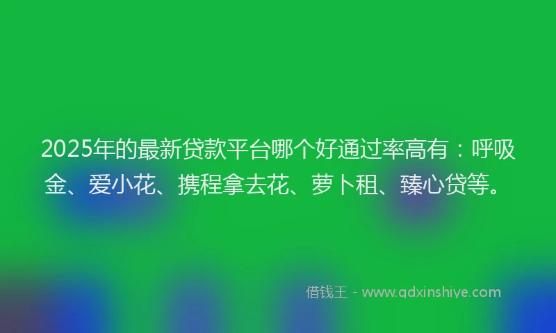 2025年的最新贷款平台哪个好通过率高有：呼吸金、爱小花、携程拿去花、萝卜租、臻心贷等。