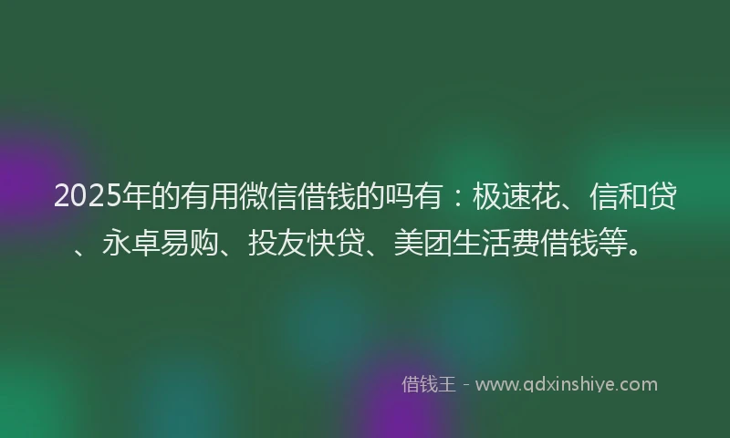 2025年的有用微信借钱的吗有：极速花、信和贷、永卓易购、投友快贷、美团生活费借钱等。