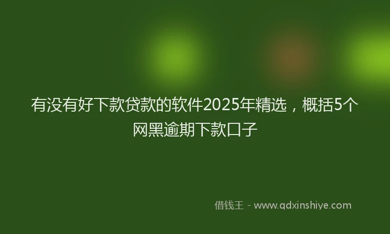 有没有好下款贷款的软件2025年精选，概括5个网黑逾期下款口子