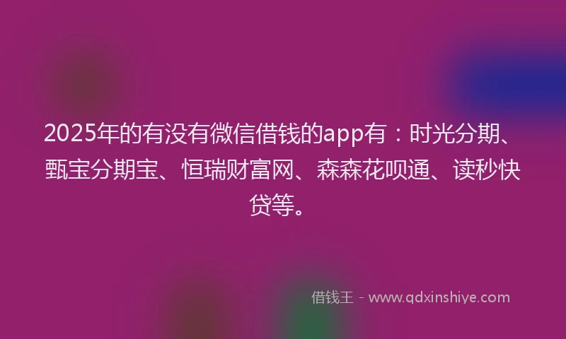 2025年的有没有微信借钱的app有：时光分期、甄宝分期宝、恒瑞财富网、森森花呗通、读秒快贷等。