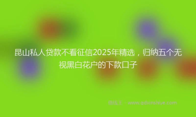 昆山私人贷款不看征信2025年精选，归纳五个无视黑白花户的下款口子