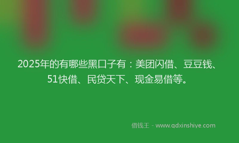 2025年的有哪些黑口子有：美团闪借、豆豆钱、51快借、民贷天下、现金易借等。
