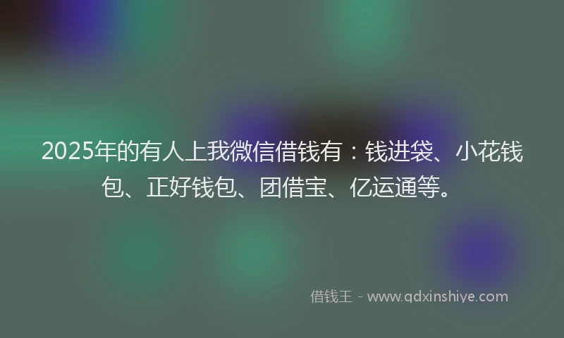2025年的有人上我微信借钱有：钱进袋、小花钱包、正好钱包、团借宝、亿运通等。