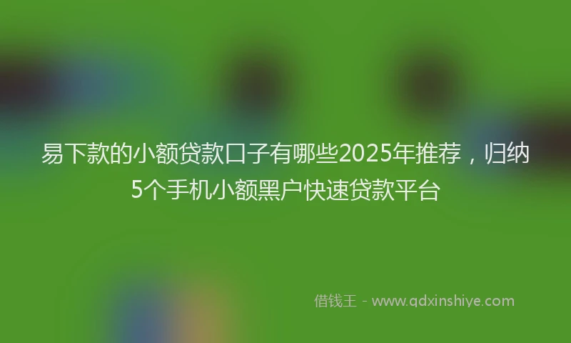 易下款的小额贷款口子有哪些2025年推荐，归纳5个手机小额黑户快速贷款平台