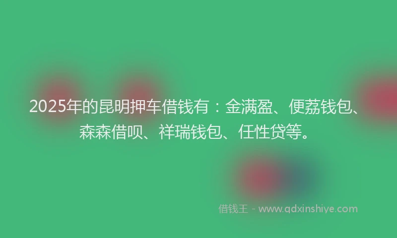2025年的昆明押车借钱有：金满盈、便荔钱包、森森借呗、祥瑞钱包、任性贷等。