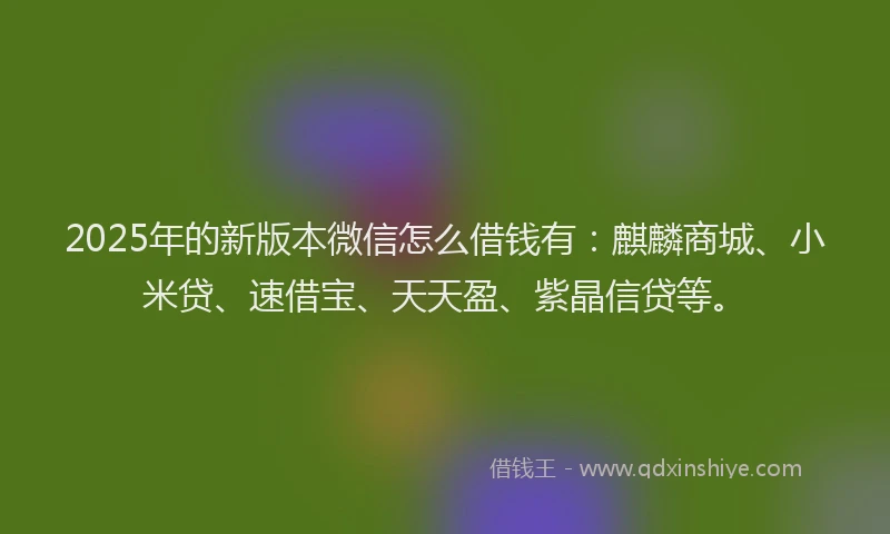 2025年的新版本微信怎么借钱有：麒麟商城、小米贷、速借宝、天天盈、紫晶信贷等。