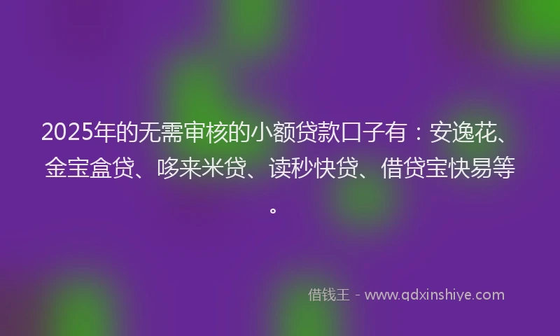 2025年的无需审核的小额贷款口子有：安逸花、金宝盒贷、哆来米贷、读秒快贷、借贷宝快易等。