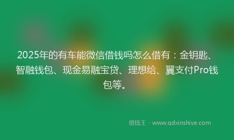 2025年的有车能微信借钱吗怎么借有：金钥匙、智融钱包、现金易融宝贷、理想给、翼支付Pro钱包等。