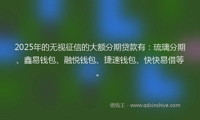 2025年的无视征信的大额分期贷款有：琉璃分期、鑫易钱包、融悦钱包、捷速钱包、快快易借等。