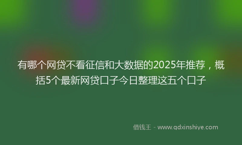 有哪个网贷不看征信和大数据的2025年推荐，概括5个最新网贷口子今日整理这五个口子