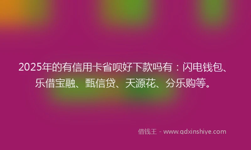 2025年的有信用卡省呗好下款吗有：闪电钱包、乐借宝融、甄信贷、天源花、分乐购等。