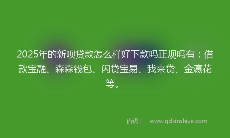 2025年的新呗贷款怎么样好下款吗正规吗有：借款宝融、森森钱包、闪贷宝易、我来贷、金瀛花等。