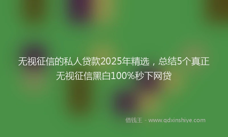 无视征信的私人贷款2025年精选，总结5个真正无视征信黑白100%秒下网贷