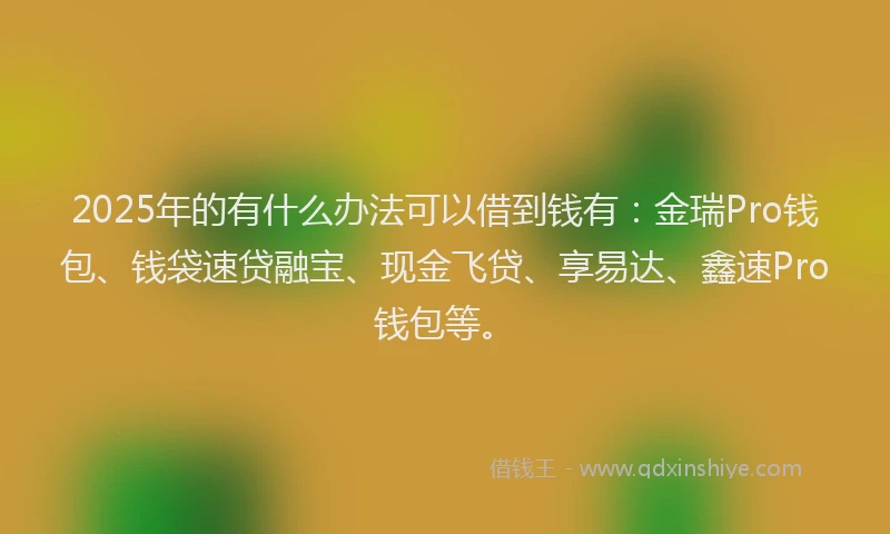 2025年的有什么办法可以借到钱有：金瑞Pro钱包、钱袋速贷融宝、现金飞贷、享易达、鑫速Pro钱包等。