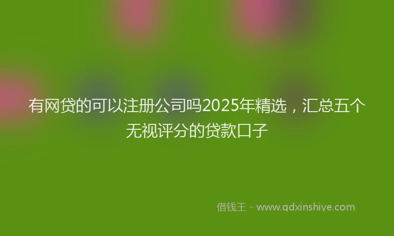 有网贷的可以注册公司吗2025年精选，汇总五个无视评分的贷款口子