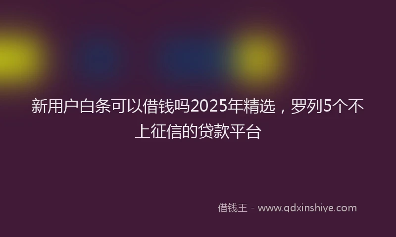 新用户白条可以借钱吗2025年精选，罗列5个不上征信的贷款平台