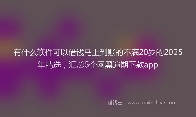 有什么软件可以借钱马上到账的不满20岁的2025年精选，汇总5个网黑逾期下款app