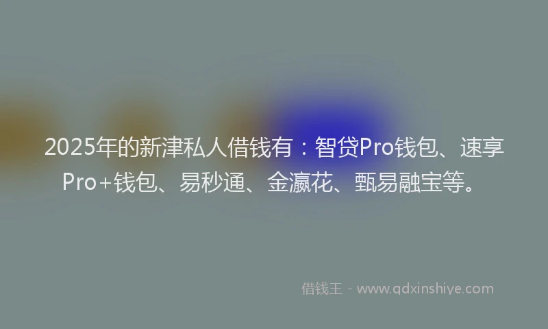 2025年的新津私人借钱有：智贷Pro钱包、速享Pro+钱包、易秒通、金瀛花、甄易融宝等。