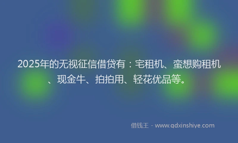 2025年的无视征信借贷有：宅租机、蛮想购租机、现金牛、拍拍用、轻花优品等。