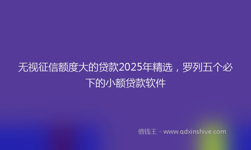 无视征信额度大的贷款2025年精选，罗列五个必下的小额贷款软件