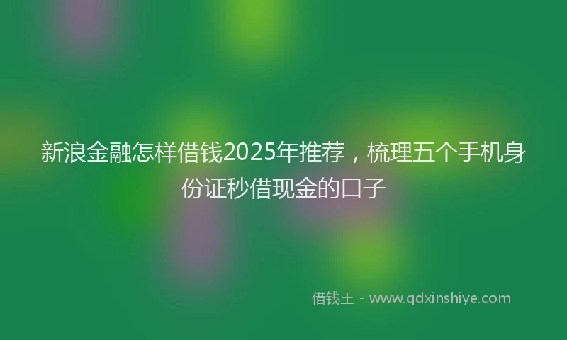 新浪金融怎样借钱2025年推荐，梳理五个手机身份证秒借现金的口子