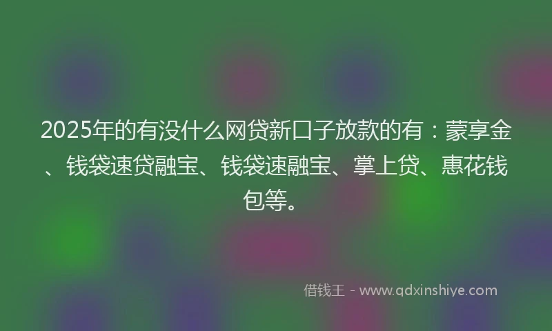 2025年的有没什么网贷新口子放款的有：蒙享金、钱袋速贷融宝、钱袋速融宝、掌上贷、惠花钱包等。