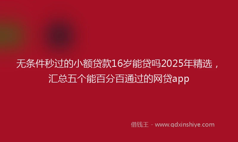 无条件秒过的小额贷款16岁能贷吗2025年精选，汇总五个能百分百通过的网贷app