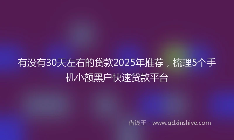 有没有30天左右的贷款2025年推荐，梳理5个手机小额黑户快速贷款平台