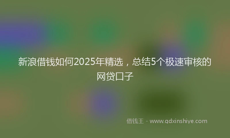 新浪借钱如何2025年精选，总结5个极速审核的网贷口子