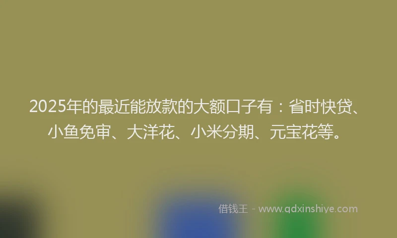 2025年的最近能放款的大额口子有：省时快贷、小鱼免审、大洋花、小米分期、元宝花等。