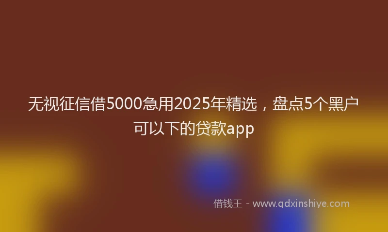无视征信借5000急用2025年精选，盘点5个黑户可以下的贷款app