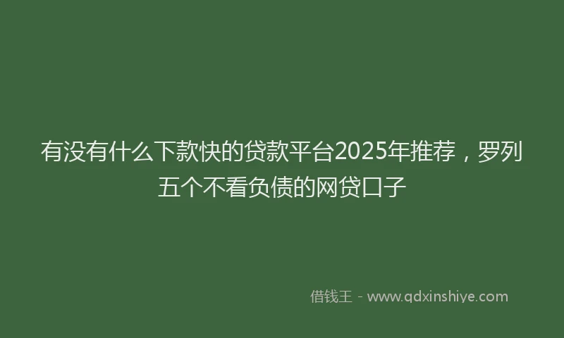 有没有什么下款快的贷款平台2025年推荐，罗列五个不看负债的网贷口子