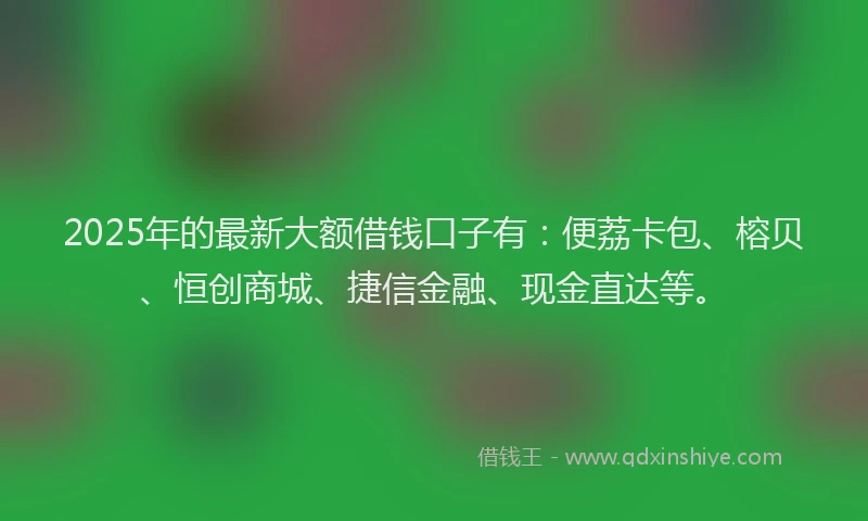 2025年的最新大额借钱口子有：便荔卡包、榕贝、恒创商城、捷信金融、现金直达等。