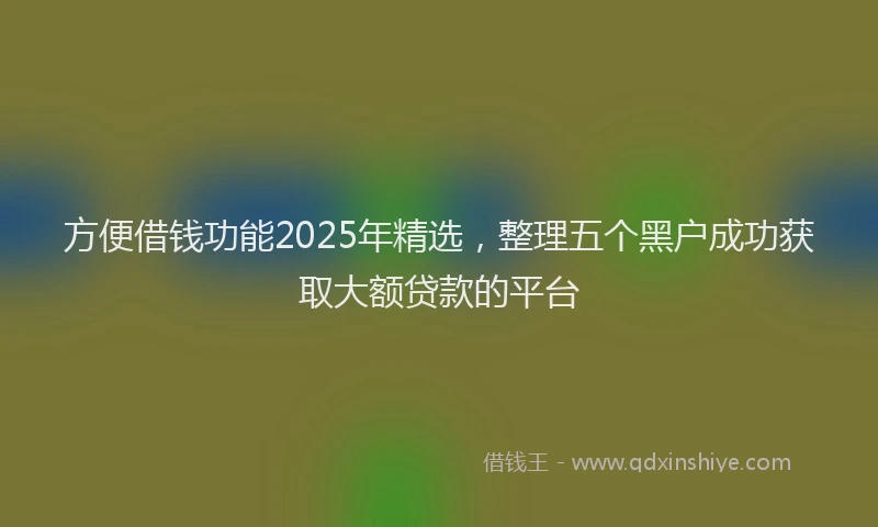 方便借钱功能2025年精选，整理五个黑户成功获取大额贷款的平台
