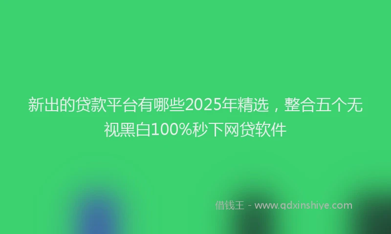 新出的贷款平台有哪些2025年精选，整合五个无视黑白100%秒下网贷软件