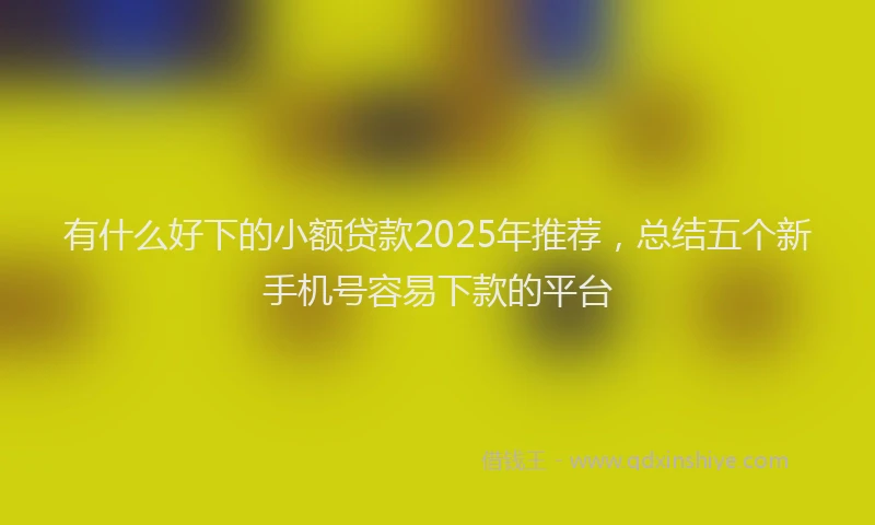 有什么好下的小额贷款2025年推荐，总结五个新手机号容易下款的平台