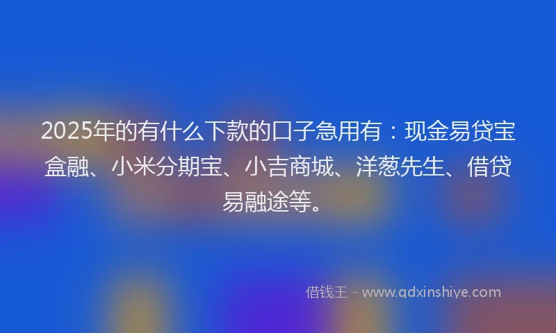 2025年的有什么下款的口子急用有：现金易贷宝盒融、小米分期宝、小吉商城、洋葱先生、借贷易融途等。