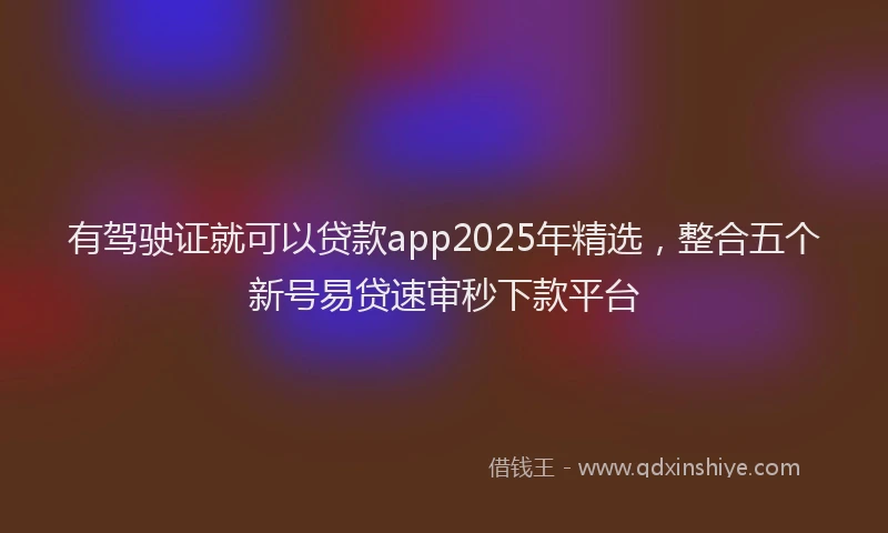有驾驶证就可以贷款app2025年精选，整合五个新号易贷速审秒下款平台