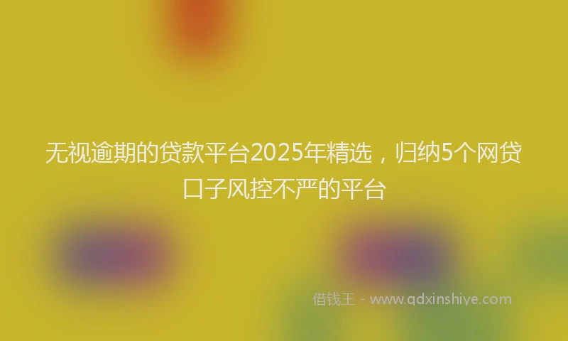 无视逾期的贷款平台2025年精选，归纳5个网贷口子风控不严的平台