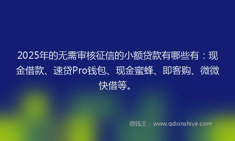 2025年的无需审核征信的小额贷款有哪些有：现金借款、速贷Pro钱包、现金蜜蜂、即客购、微微快借等。