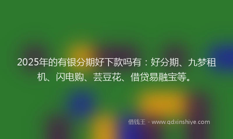 2025年的有银分期好下款吗有：好分期、九梦租机、闪电购、芸豆花、借贷易融宝等。