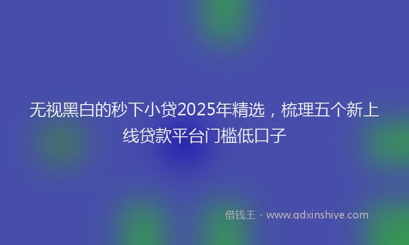 无视黑白的秒下小贷2025年精选，梳理五个新上线贷款平台门槛低口子