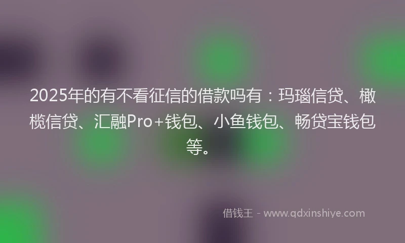 2025年的有不看征信的借款吗有：玛瑙信贷、橄榄信贷、汇融Pro+钱包、小鱼钱包、畅贷宝钱包等。