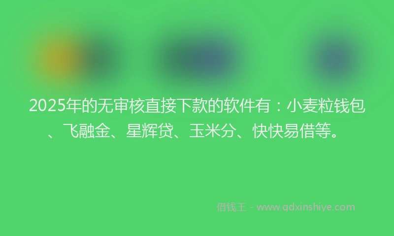 2025年的无审核直接下款的软件有：小麦粒钱包、飞融金、星辉贷、玉米分、快快易借等。