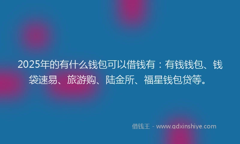 2025年的有什么钱包可以借钱有：有钱钱包、钱袋速易、旅游购、陆金所、福星钱包贷等。